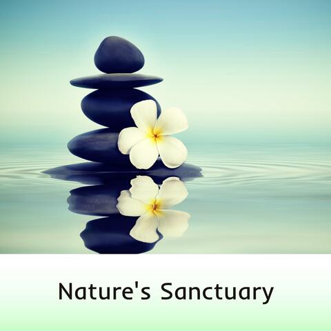 Nature's Sanctuary