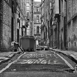 Concrete Jungle. (feat. Roisin Kearney & Jade Augis)