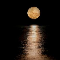 Moonlight