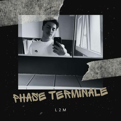 Phase Terminal