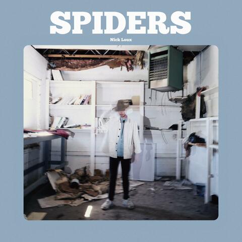 Spiders