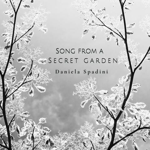 Song from a Secret Garden