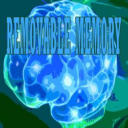 REMOVABLE MEMORY