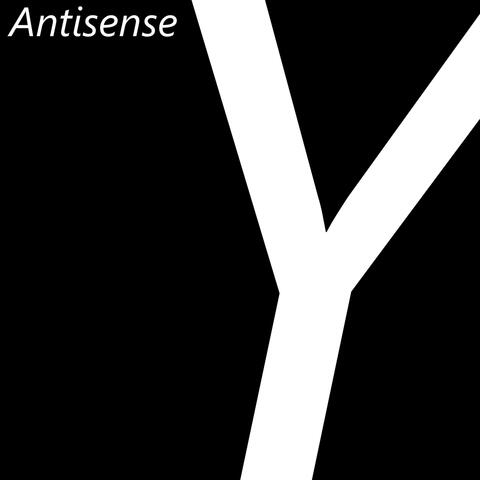 Antisense: Y