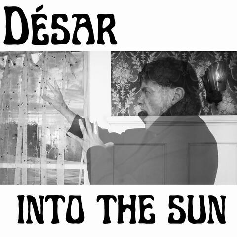 Into the Sun