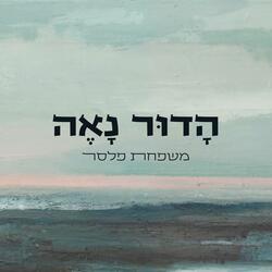 הדור נאה