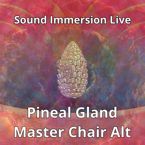 Pineal Gland Master Chair Alt