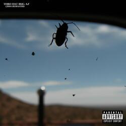 THRO DAT BUG AZ (2004)