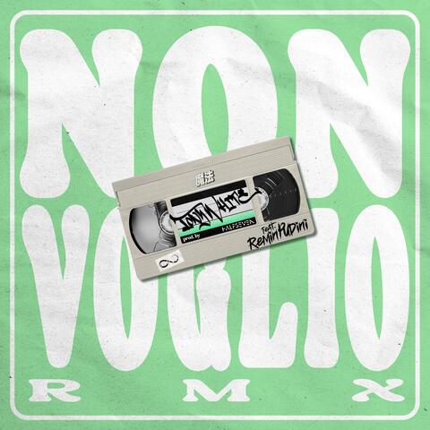 NON VOGLIO (feat. Remin Pudini) [RMX]
