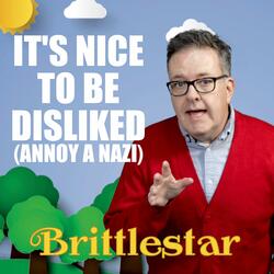 It's Nice To Be Disliked (Annoy a Nazi)