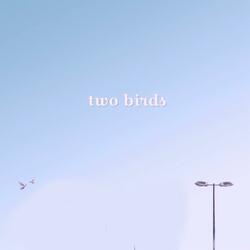 Just Two Birds
