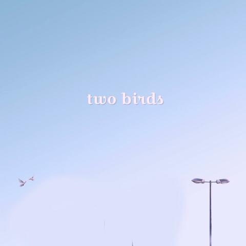 Just Two Birds