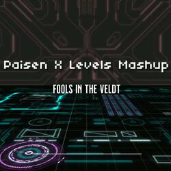 Paisen X Levels Mashup