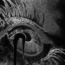 Ops (feat. N8F & ilyaugust)