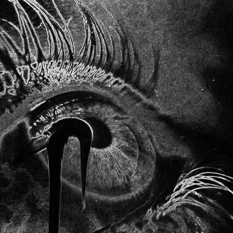 Ops (feat. N8F & ilyaugust)