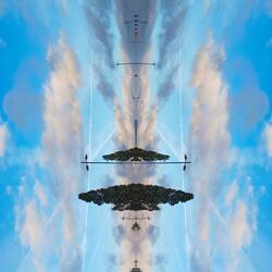 the flight & the fall