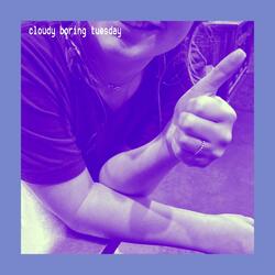 Apple Muffin Song (I Probably Shouldn't Have Done That)