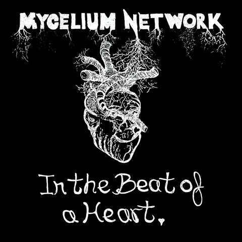 In The Beat Of A Heart