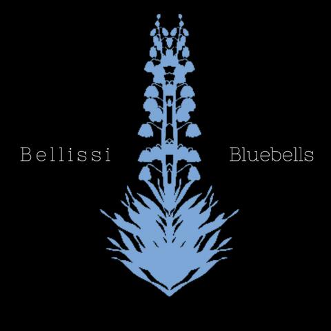 Bluebells