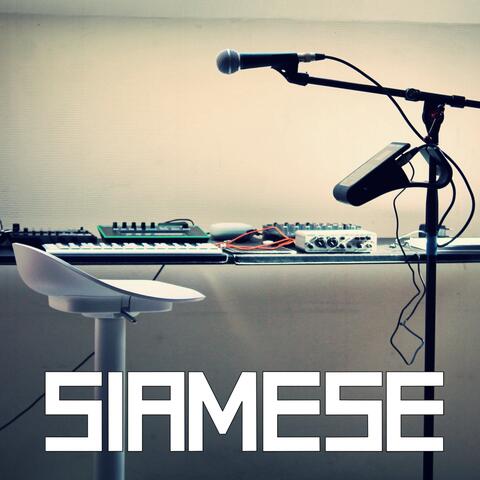 Siamese (demo version)