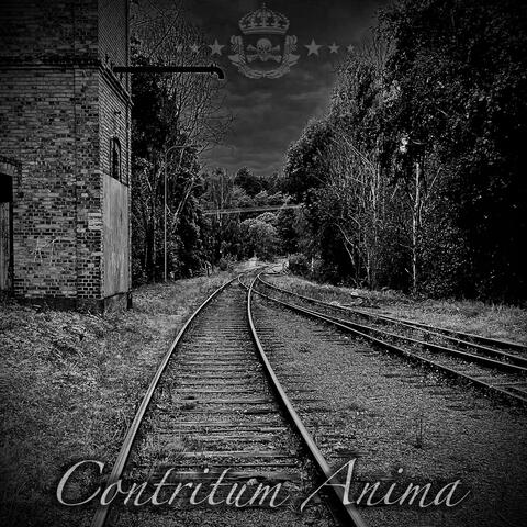Contritum Anima