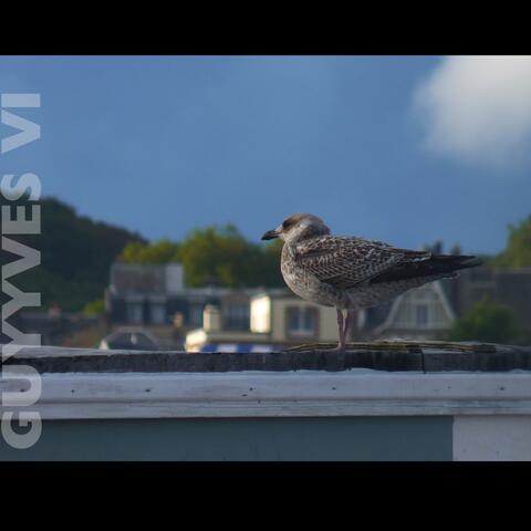 Guyyves VI