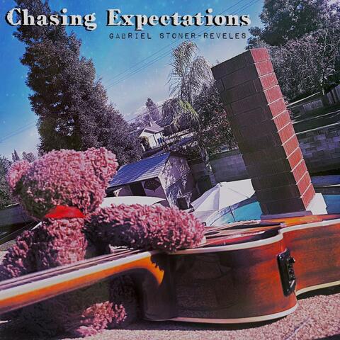 Chasing Expectations