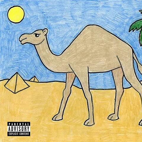 The Camel('s Name Was Friday)