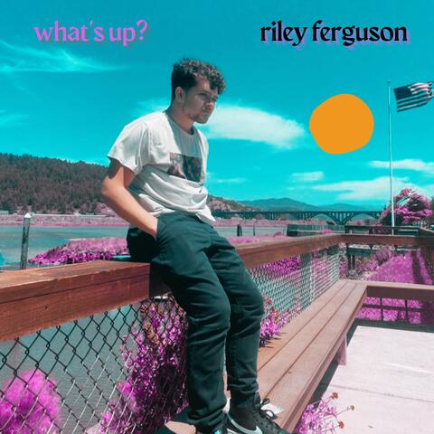 what's up?