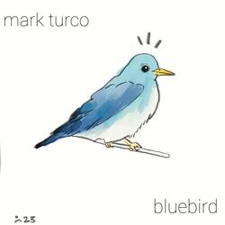 Bluebird