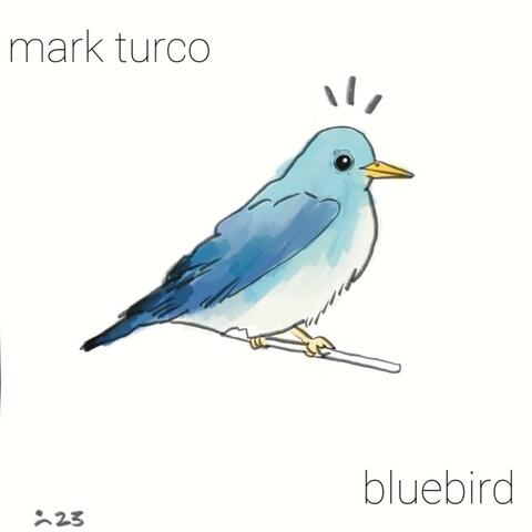 Bluebird