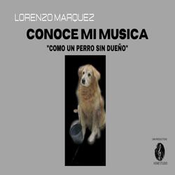 Como un perro sin dueño