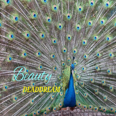 Beauty