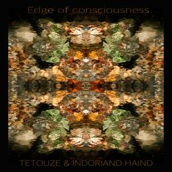 Edge of consciousness (feat. Indoriand Light of Unity)