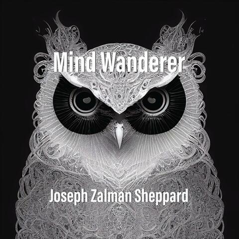 Mind Wanderer