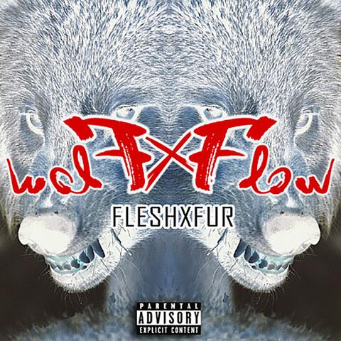 WolꟻxFloW