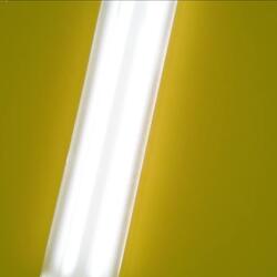 The Yellow cornerstone