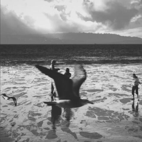 The Tides