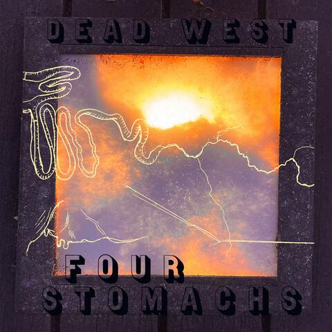 Four Stomachs