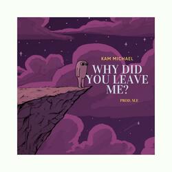 Why did you leave me?
