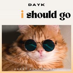 I Should Go