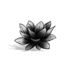 The Sheltering Drum Circle (Featuring Marvin the Monkey, Perry the Parrot, and Friends)