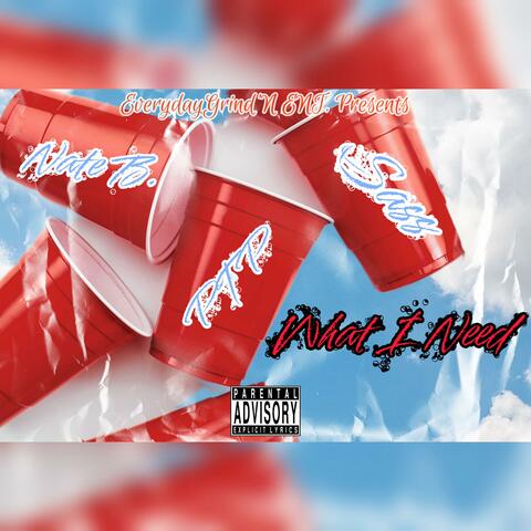What I Need (feat. Sass & PTP)