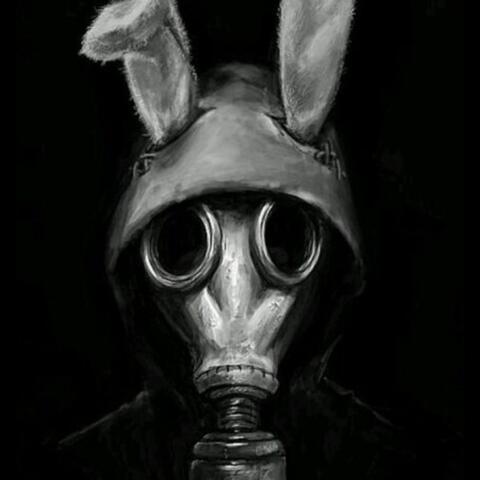 Riser