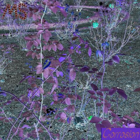Corrosion: Instrumentals