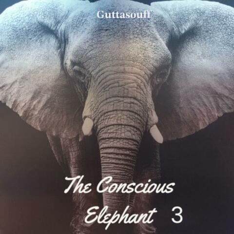 The Conscious Elephant 3