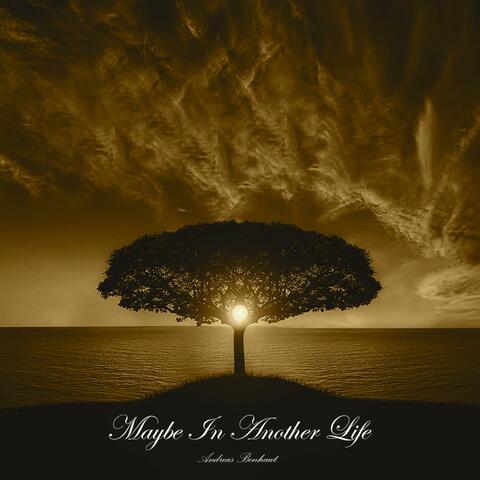 Maybe In Another Life