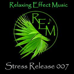 Calm Relaxing Meditation Stress Relief 007