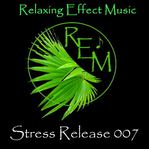 Calm Relaxing Meditation Stress Relief 007