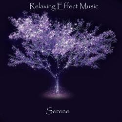 Calm Relaxing Meditation Stress Relief 009
